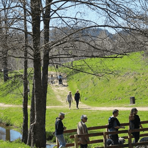 Balade autour du plan d’eau du Lac de Cunlhat