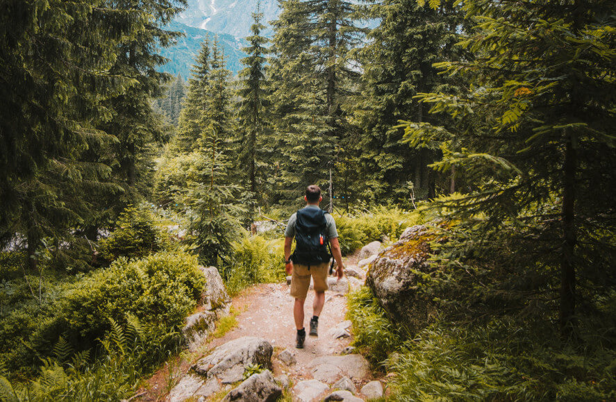 Randonnées dans les alentours proches du camping, au cœur de l’Auvergne 