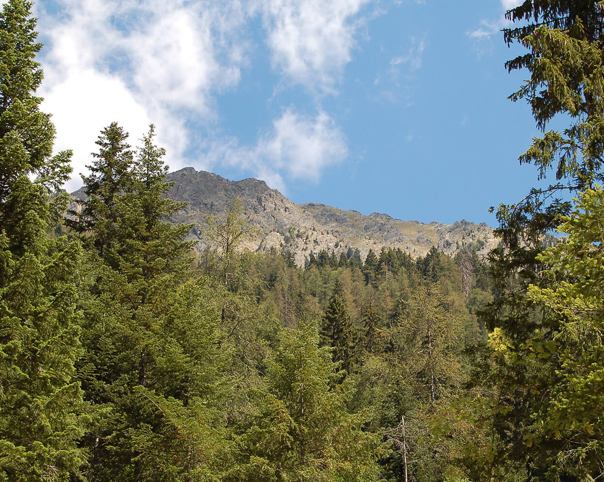 Le Parc Naturel Régional Livradois-Forez