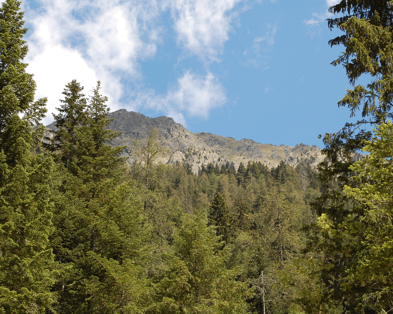 Le Parc Naturel Régional Livradois-Forez