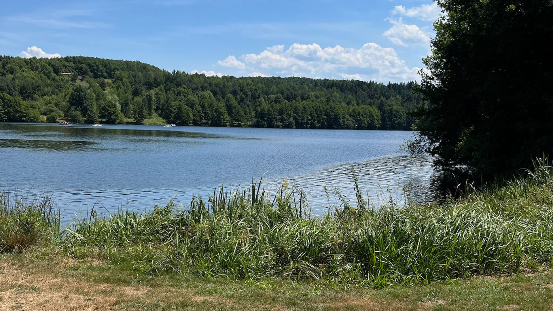 Emplacements camping du camping l’Émeraude du lac, au bord du plan d'eau de Cunlhat