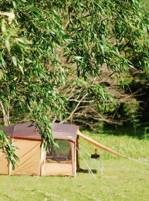 Emplacement camping nature pour tente en Auvergne