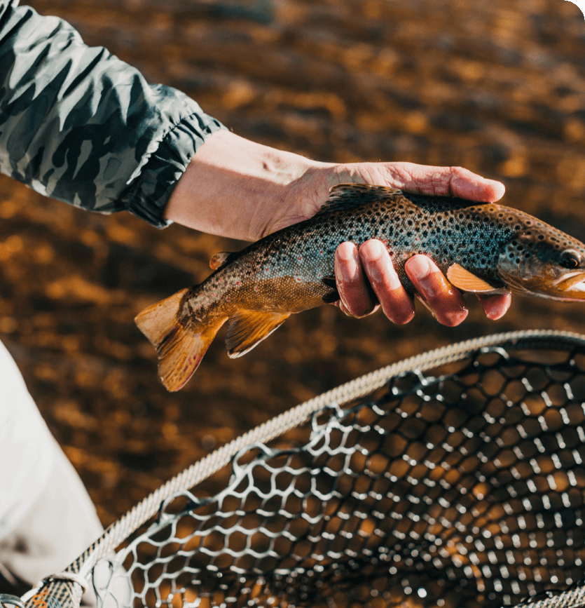 Les eaux poissonneuses du lac de Cunlhat en Auvergne sont riches en Carpes, brochets, sandres, perches